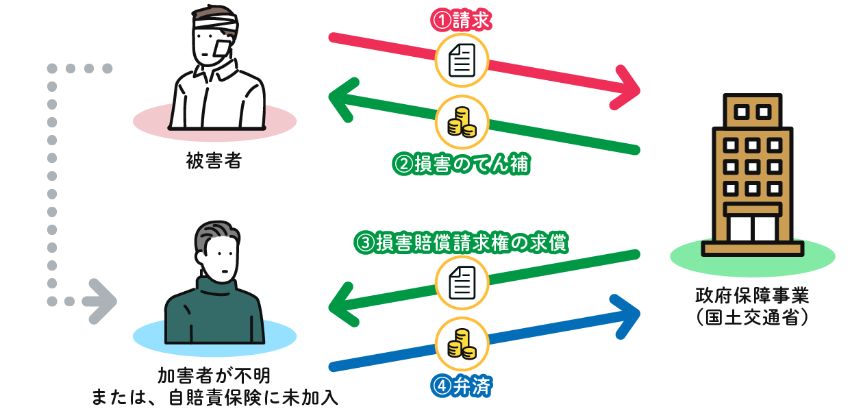 加害者不明・自賠責保険未加入の場合、政府保障事業を行っている国土交通省へ損賠賠償請求をすることができる。国土交通省は損害のてん補（立替払い）をし、被害者が本来の損害賠償責任者に対して有する損害賠償請求権を代位取得し、損害賠償責任者（加害者）に対して求償（立替えた損害賠償金の請求）を行う。